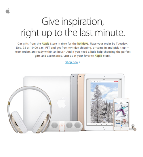 newsletter_natale_esempio_apple.png